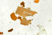 Biotite LPNA x3